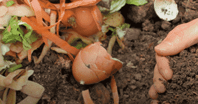 Découvrez les joies du compostage fait maison