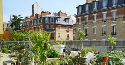 Recyclage à Paris - Ferme Urbaine 75015 2