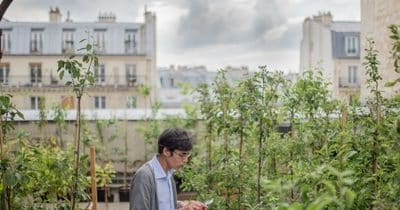 Permis, jardins, toits : les Parisiens ont carte blanche pour végétaliser