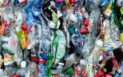 La France est-elle un mauvais élève du recyclage du plastique ?
