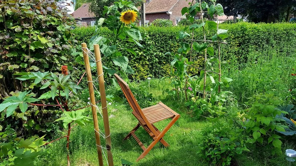 Comment cultiver son jardin ?