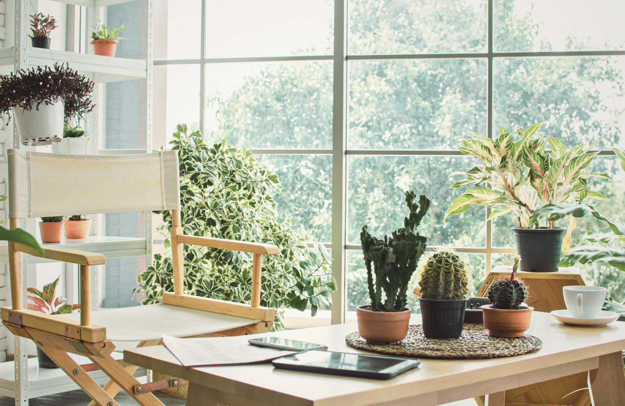 Espace de travail lumineux avec des plantes d'intérieur, y compris des cactus et des plantes feuillues, situé près d'une grande fenêtre avec vue sur la verdure extérieure. Un fauteuil en bois et toile, une tasse de café, et des tablettes posées sur la table ajoutent une touche moderne et zen à cet environnement de bureau à domicile.