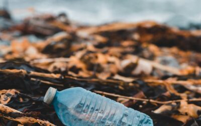 Recyclage des bouteilles plastiques : Le défi des pays émergents