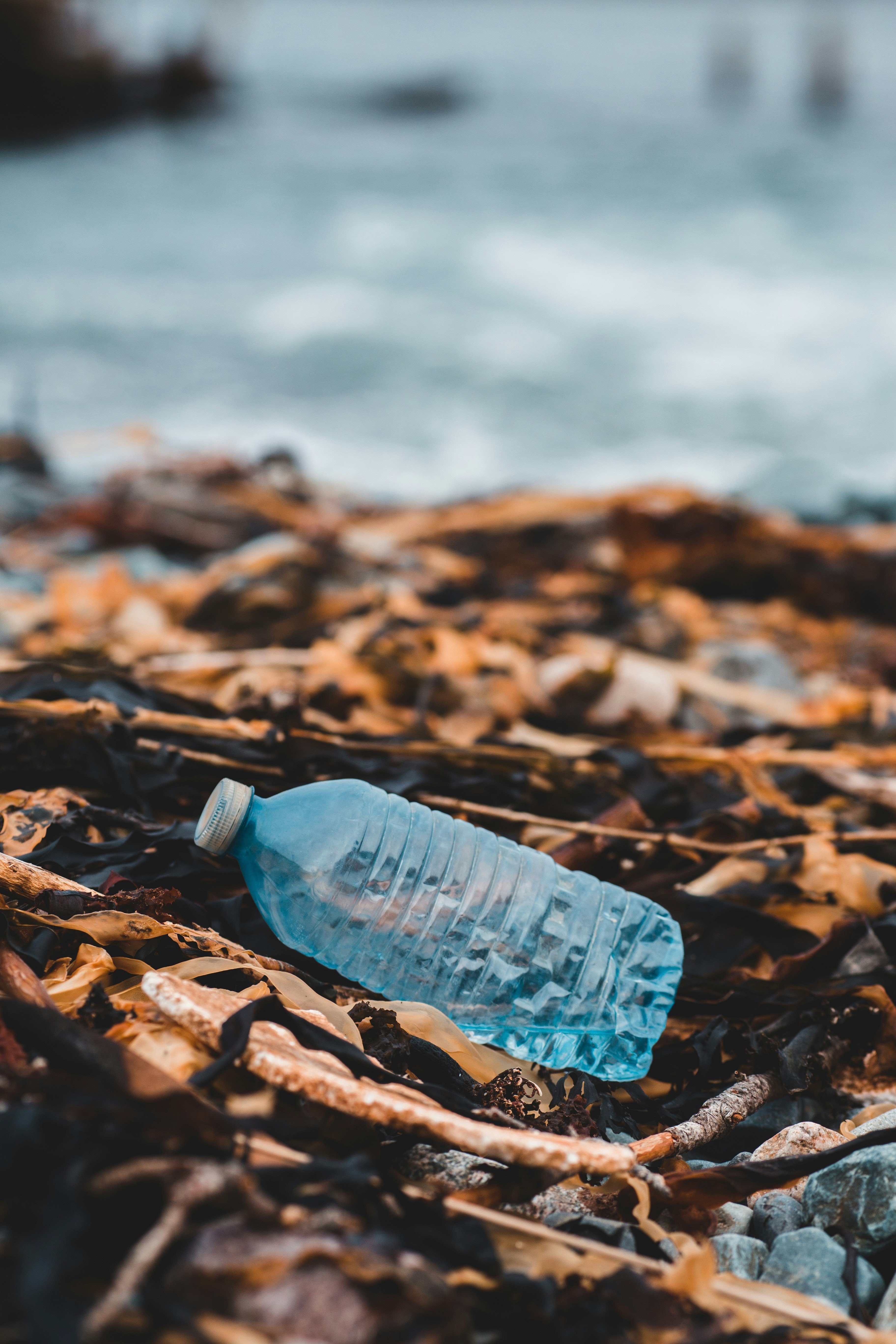 Bouteille en plastique bleue écrasée abandonnée sur une plage parmi des algues séchées et des pierres, illustrant la pollution plastique dans les milieux marins.