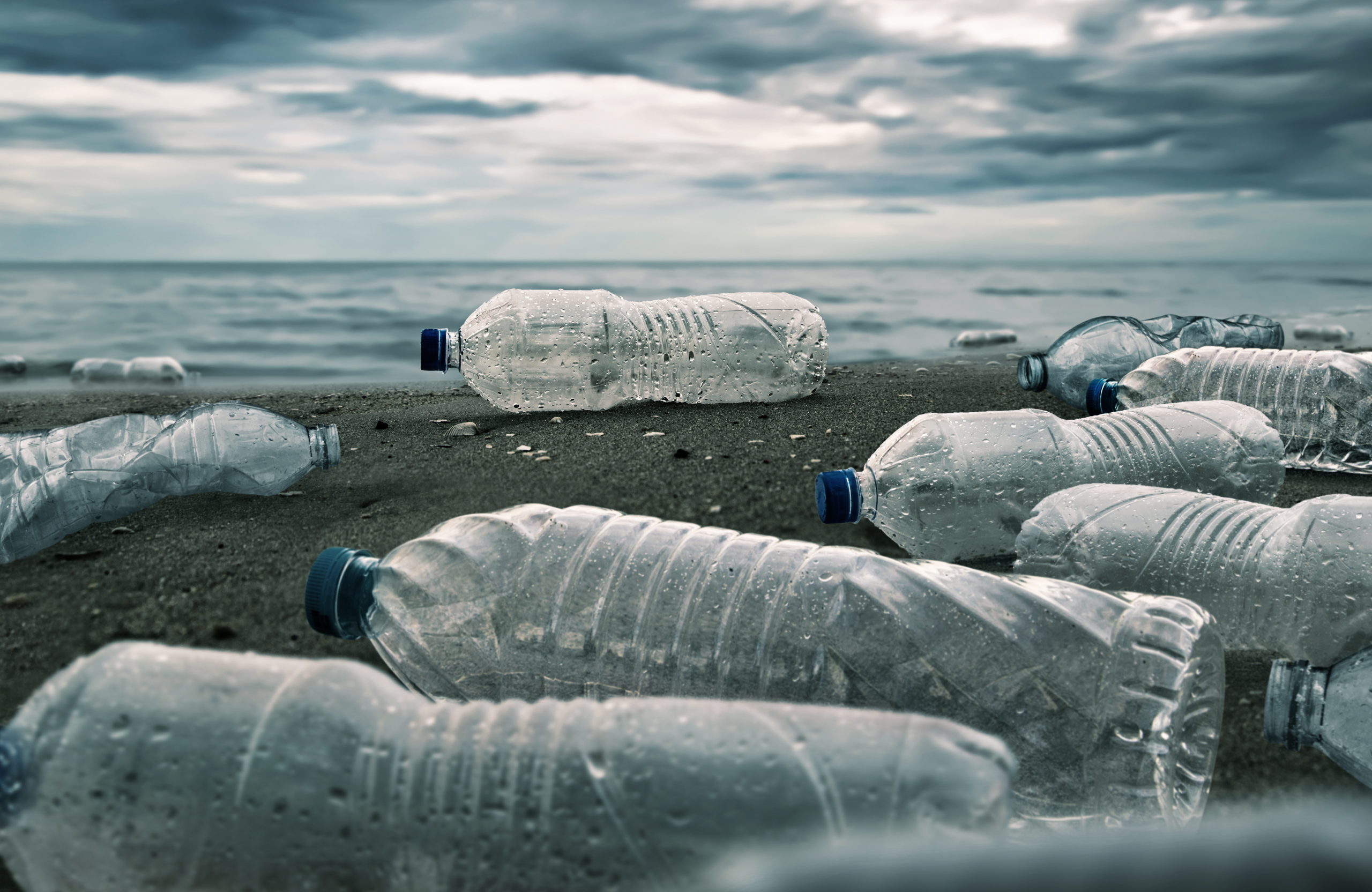 Une plage jonchée de nombreuses bouteilles en plastique usagées, témoignant de la pollution marine par les déchets plastiques. Les bouteilles, éparpillées sur le sable humide, contrastent avec le paysage côtier et soulignent l'impact de la consommation humaine sur l'environnement. Cette image saisissante illustre l'urgence de trouver des solutions pour réduire la production et la dispersion des plastiques à usage unique.