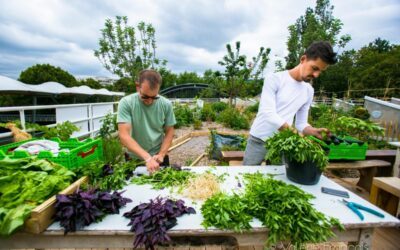 Découvrez la plus grande ferme urbaine de suzanne à Paris 15ème