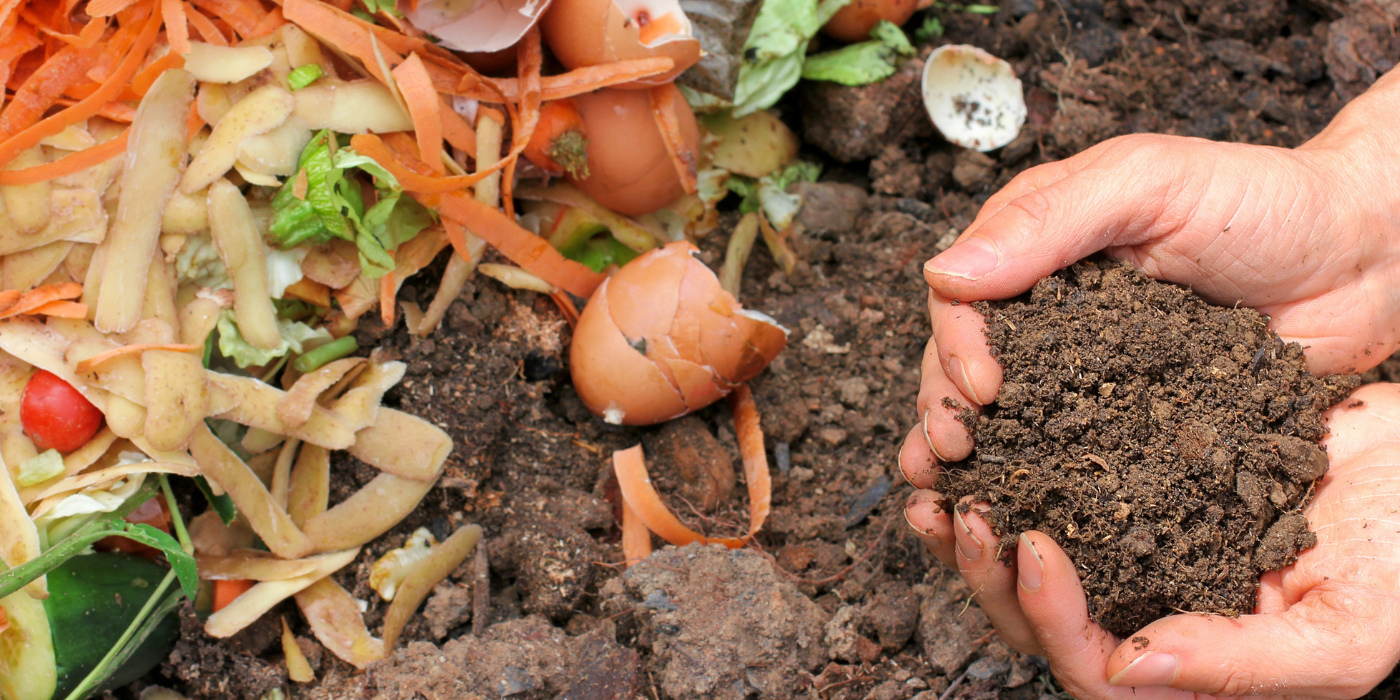 Transformez vos déchets organiques en compost riche pour vos plantes : une solution écologique pour réduire vos déchets et enrichir votre sol