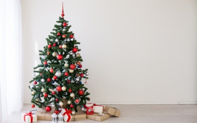 Que deviennent les sapins de Noël après les fêtes ?