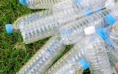 Recyclage des bouteilles plastiques : Pourquoi et comment ça marche ?