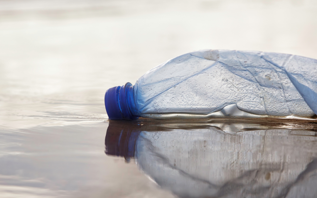 Les défis du recyclage des bouteilles plastiques : Enjeux et Solutions