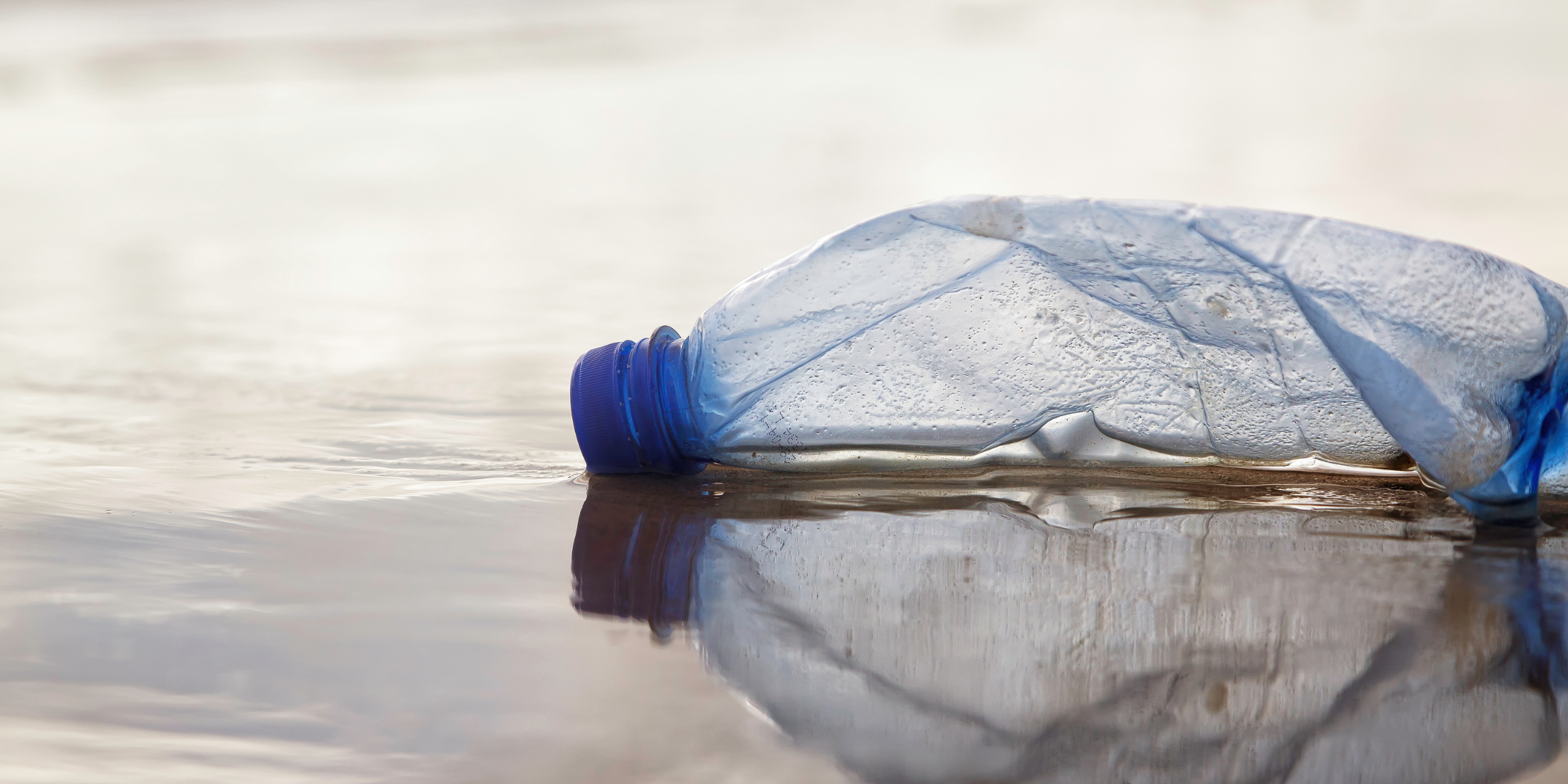 Bouteille en plastique abandonnée flottant sur l'eau, illustrant l'impact de la pollution plastique dans les océans et les défis liés au recyclage des bouteilles plastiques.