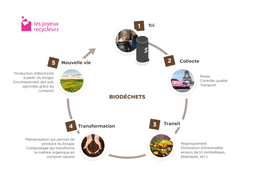 Filieres de recyclage - Biodéchets.jpg - fond transparent