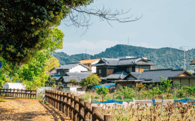 Kamikatsu : le village japonais qui a déclaré la guerre aux déchets