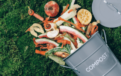 Compost au bureau : la (bonne) idée qui fait germer les consciences