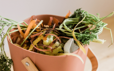 Tout savoir sur la poubelle biodéchet au bureau : questions fréquentes et idées reçues