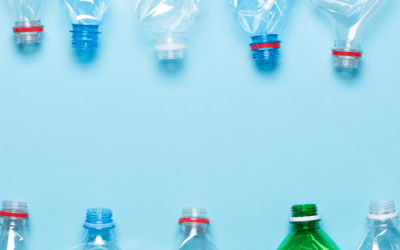 De la bouteille au pull : le surprenant voyage du plastique recyclé