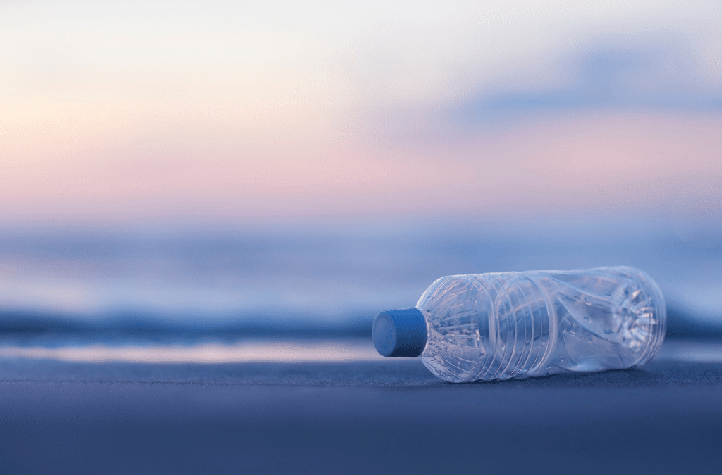 L’histoire derrière l’objet recyclé : de la bouteille au nouveau produit