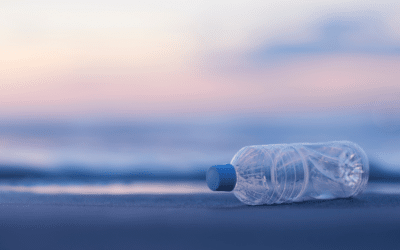 L’histoire derrière l’objet recyclé : de la bouteille au nouveau produit