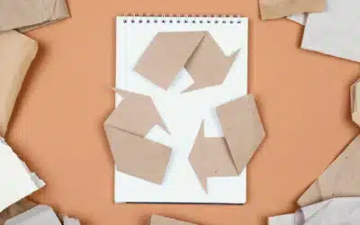 Recyclage : tous les cartons sont-ils vraiment recyclables ?
