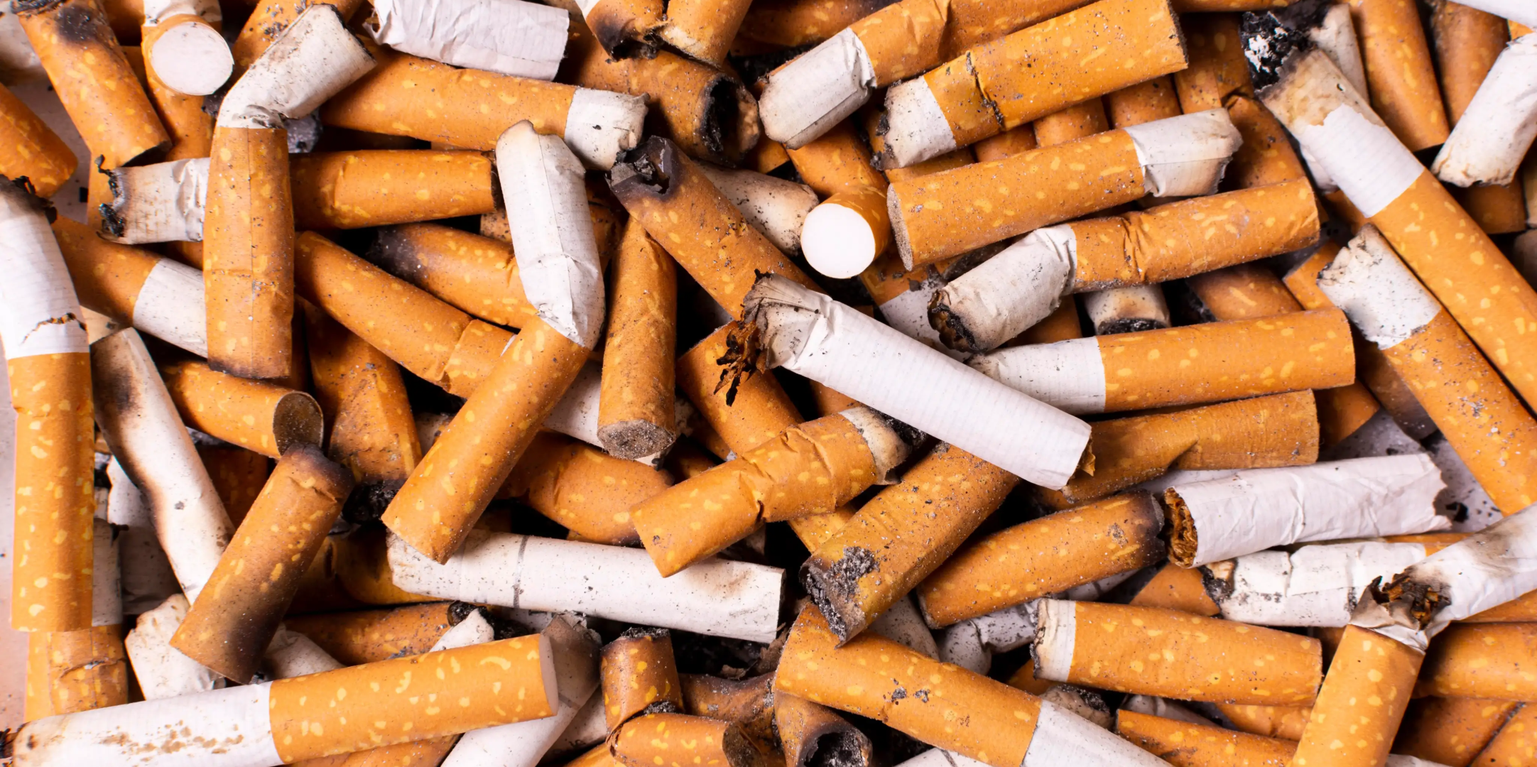 Accumulation de mégots de cigarette illustrant la pollution et les déchets urbains