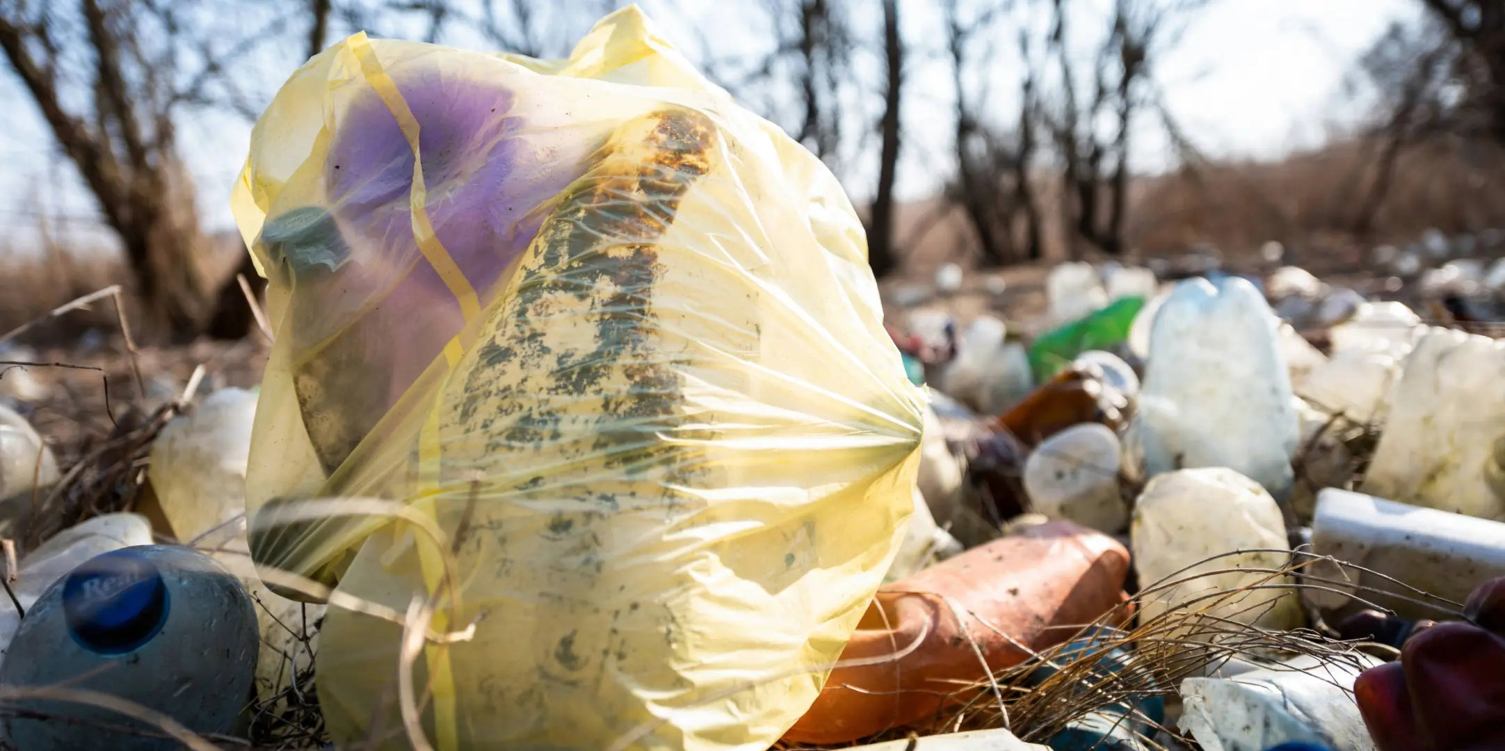 Sac plastique et déchets abandonnés dans la nature, illustrant la pollution et l’impact des déchets sur l’environnement