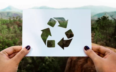 Les 5 gestes écologiques les plus efficaces pour protéger la planète