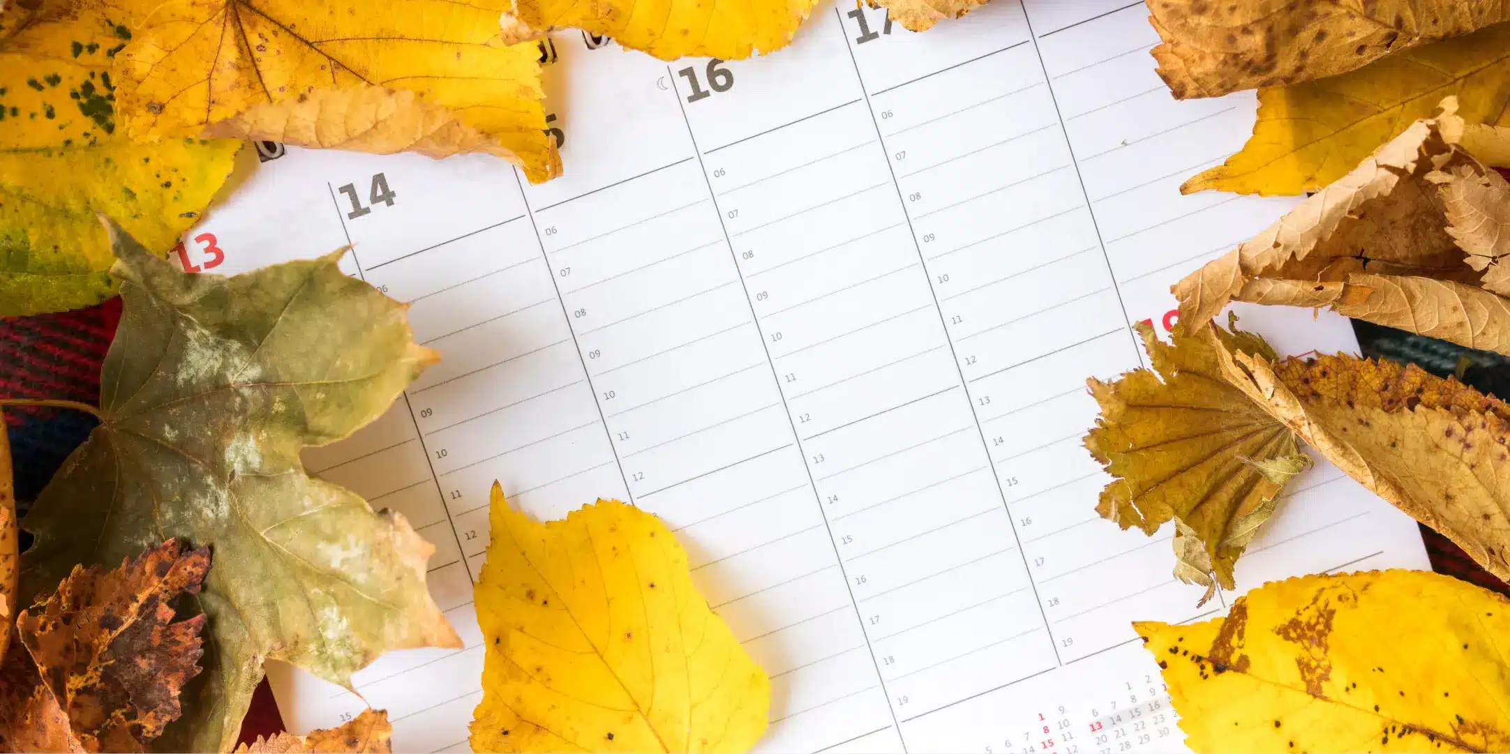 marronnier-rse-2026-calendrier-evenements-entreprise Calendrier entouré de feuilles d’automne illustrant le planning des temps forts RSE 2026 en entreprise
