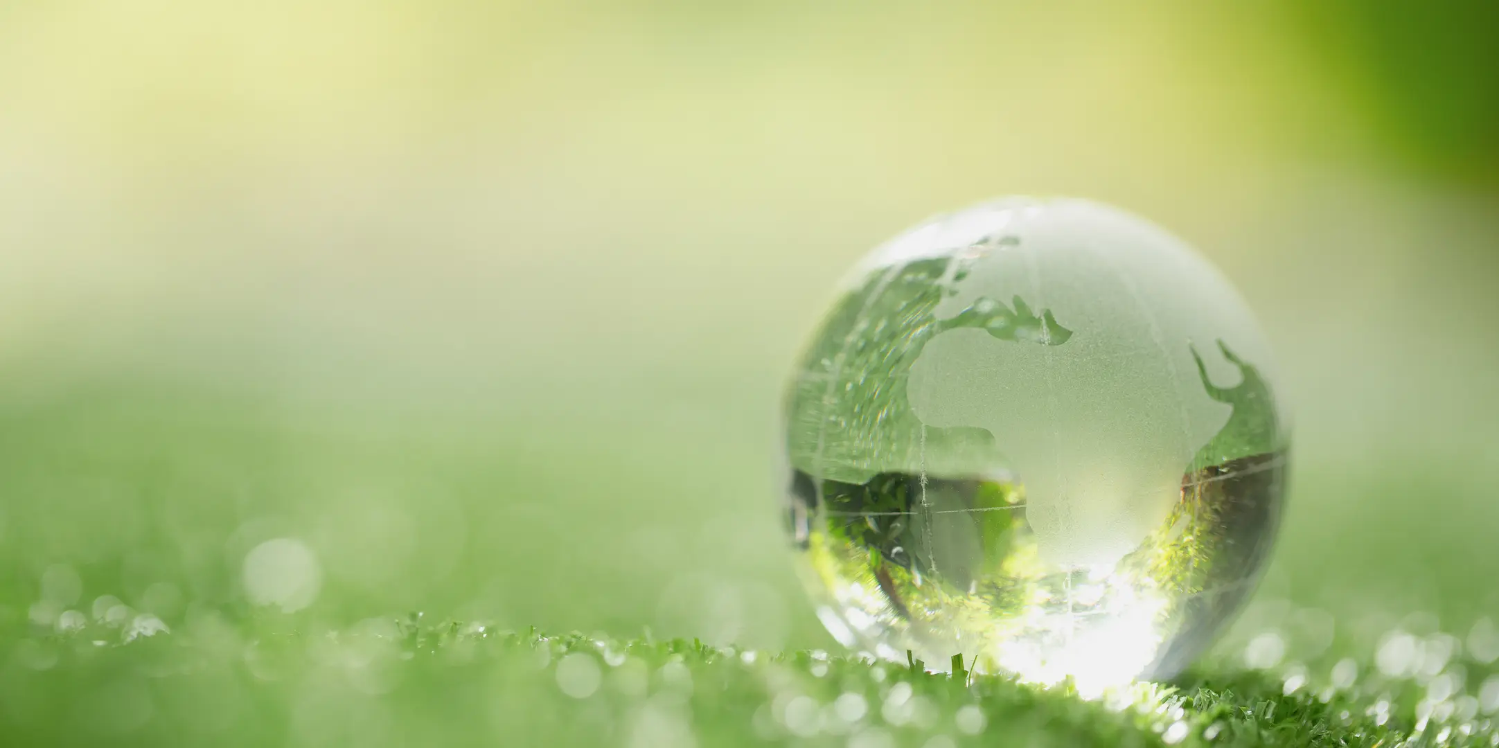 Globe terrestre en verre posé dans l'herbe, symbole de protection de l'environnement