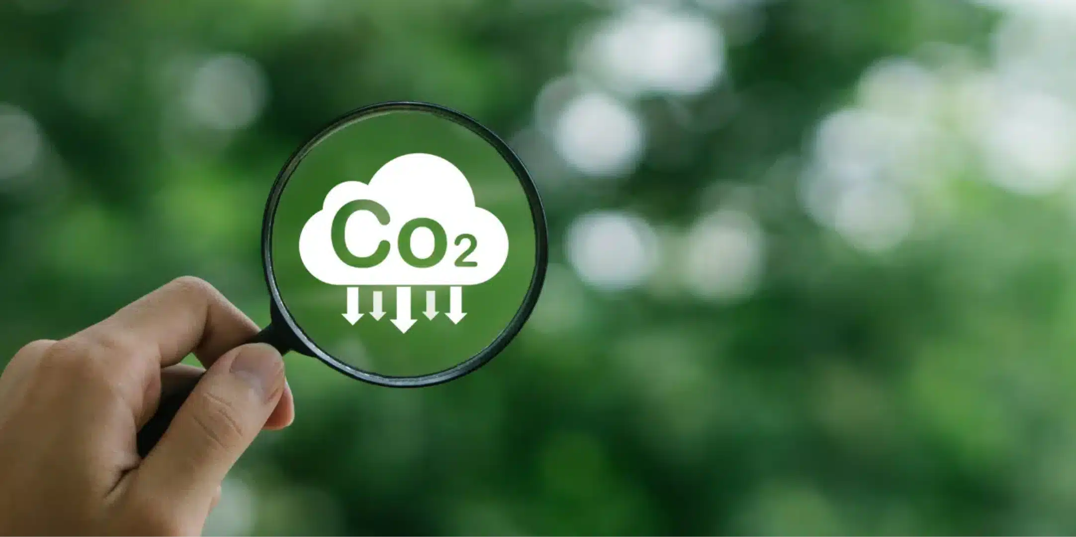 Loupe grossissant une icône CO2 avec flèches descendantes, symbole de réduction des émissions